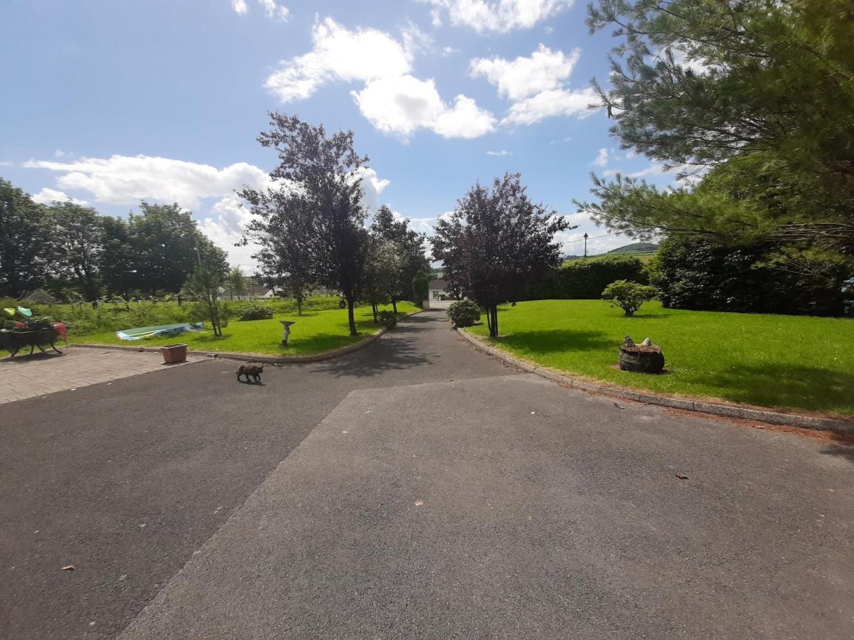 The Laurels Villa Waterford Exterior photo